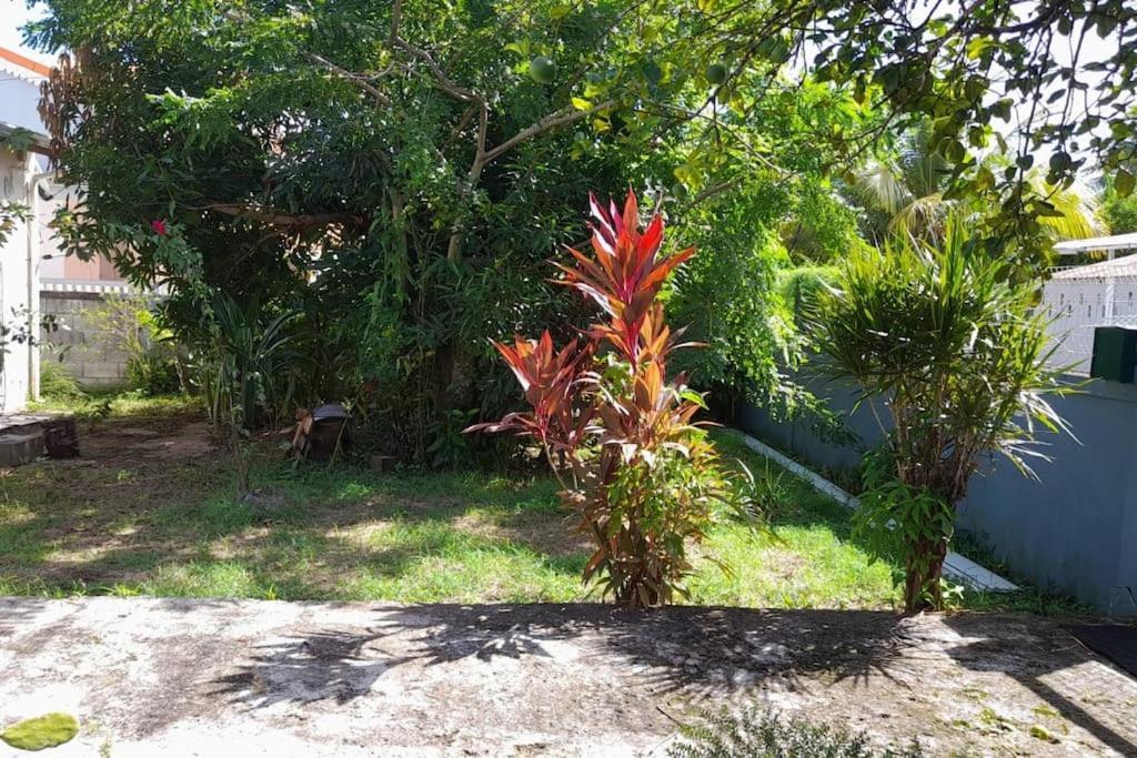 La Petite Maison, Spacieuse, Avec Jardin / Parking Sainte-Rose Eksteriør bilde